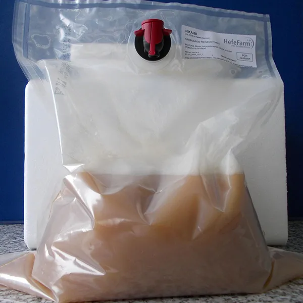 Bag in a box fresh yeast storage propagation stage